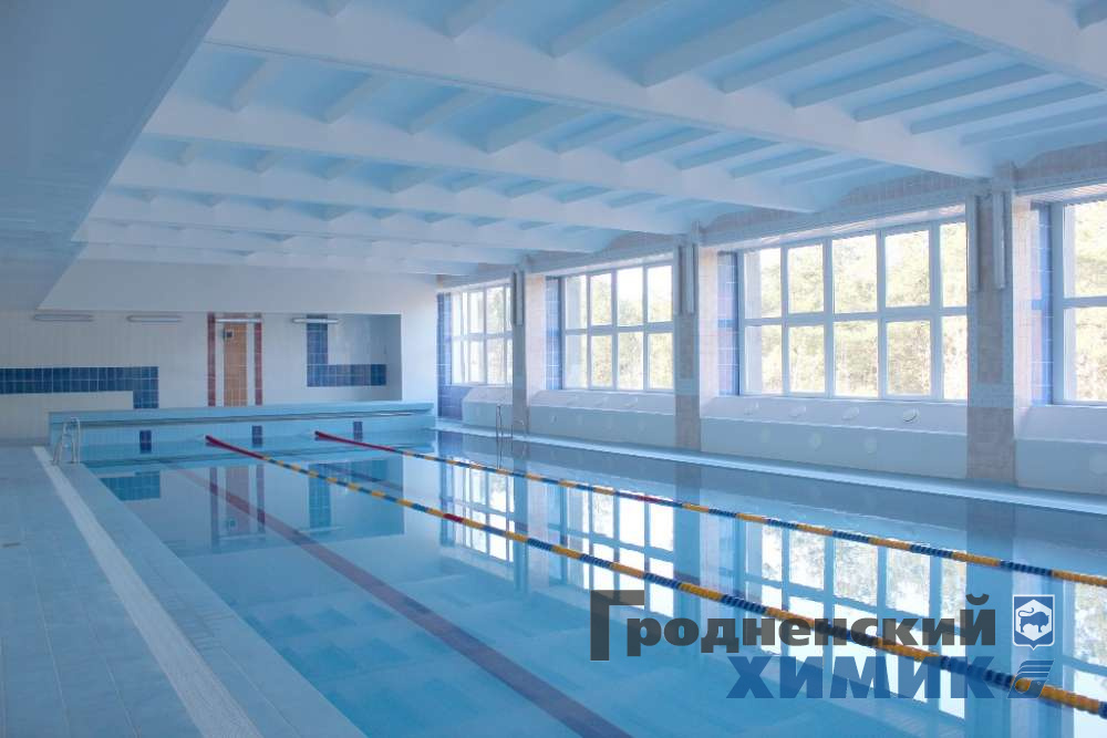 Прошли соревнования по плаванию среди ветеранов